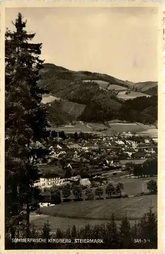 Steiermark/div. Orte und Umgebung - Sommerfrische Kindberg -322976