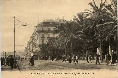 Alger - Le Boulevard Carnot -285816