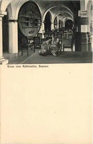 Gruss vom Ratskeller Bremen - Katze -286002