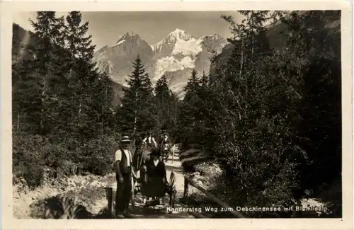 Kandersteg - Weg zum Oeschinensee -286120