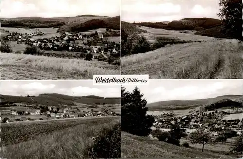 Weidelbach über Dillenburg -285882