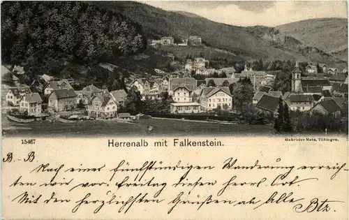 Herrenalb mit Falkenstein -286276