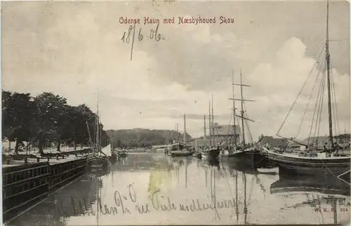 Odense Havn med Naesbyhoved Skov -287440