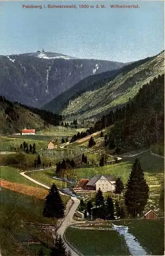 Feldberg im Schwarzwald - Wilhelmertal -287584