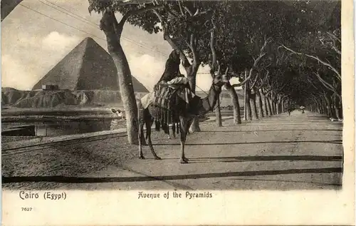 Cairo - Avenue ot the Pyramids -287838