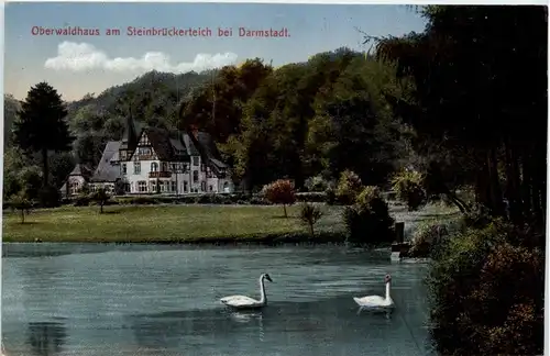 Oberwaldhaus am Steinbrückenteich bei Darmstadt -286996