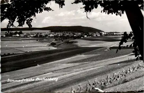 Buchenberg über Frankenberg Eder -285918