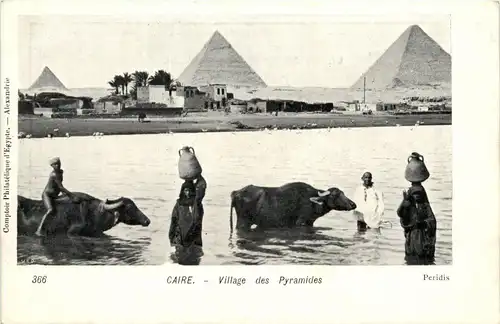 Cairo - Village des Pyramides -287834