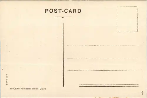 Suez - Terre plein -287914