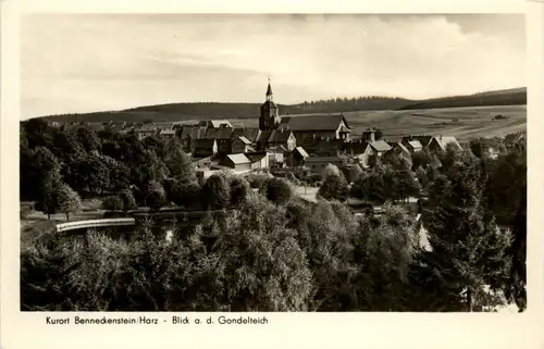 Benneckenstein - Blick auf den Gondelteich -287212