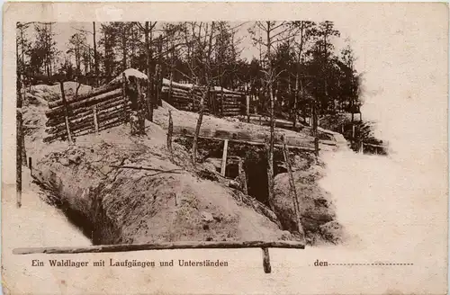 Ein Waldlager mit Laufgängen und Unterständen -288110