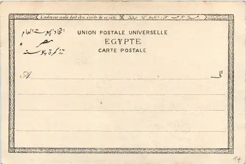 Egypt Arab teacher -288326