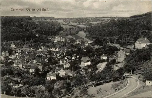 Calw von Osten -288602