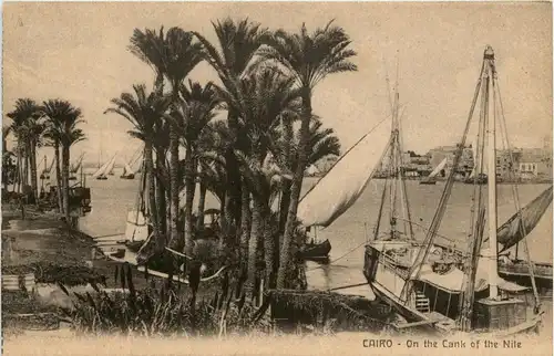 Cairo - On the Cank of the Nile -287848