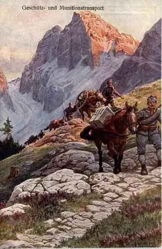 Geschütz und Munitionstransport -288014