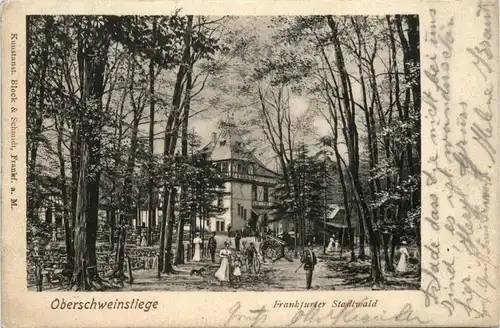 Oberschweinstiege - Frankfurter Stadtwald -286878