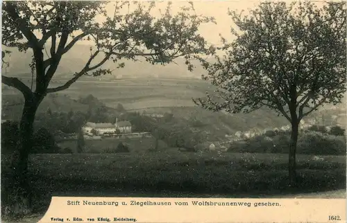 Stift Neuenburg und Ziegelhausen -288740