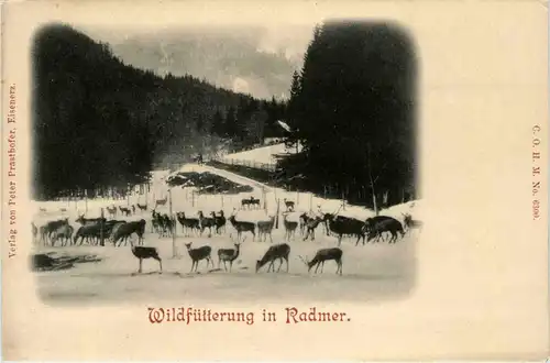 Wildfüterung in Radmer -288792