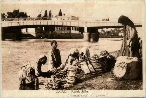 Cairo - Radish Seller -287912