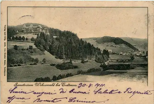 Sanatorium Wehrawald bei Todtmoos -288742