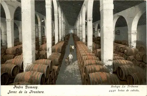 Jetez de la Frontera - Bodega La Tribuna - Wine -289516