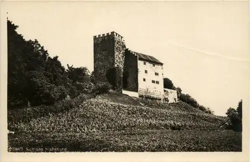 Schloss Habsburg -289790