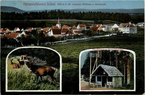 Dobel zwischen Wildbad und Herrenalb -288554