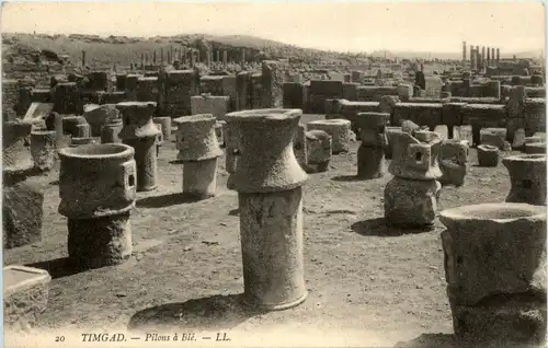 Timgad -289950