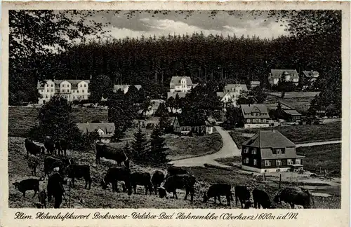Klim - Bockswiese -288982