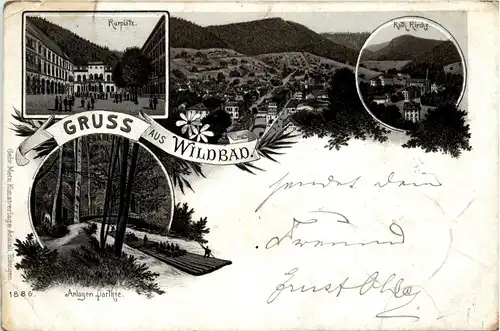 Gruss aus Wildbad - Litho -289824