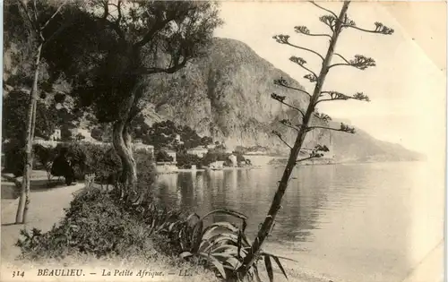 Beaulieu - La Petite Afrique -290208