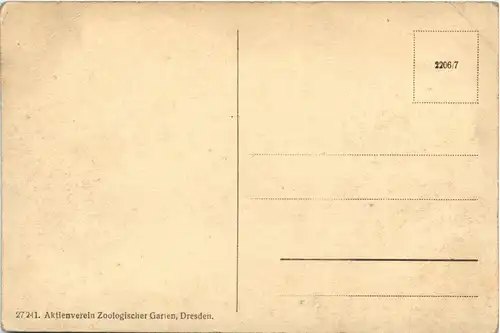 Zoologischer Garten zu Dresden -289650