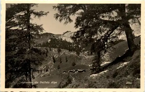 Achensee/Tirol Orte und Umgebung, die Dalfatz Alpe -324494