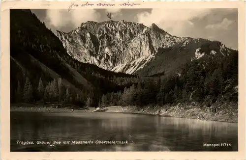 Tragöss-Oberort/Steiermark und Umgebung - Grüner See mit Messnerin -325612