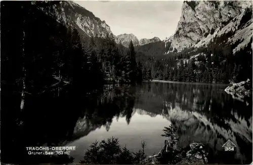 Tragöss-Oberort/Steiermark und Umgebung - Grüner See -325608