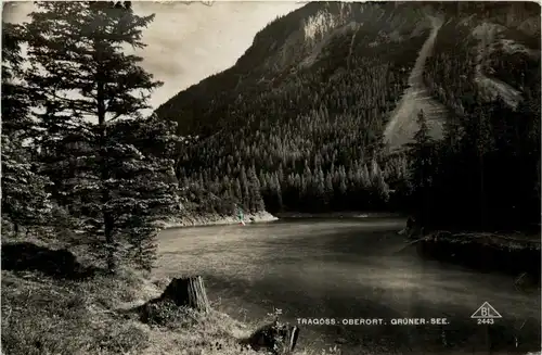 Tragöss-Oberort/Steiermark und Umgebung - Grüner See -325538