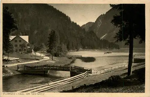 Plansee - Seespitz -290832