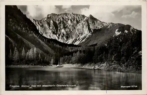 Tragöss-Oberort/Steiermark und Umgebung - Grüner See mit Messnerin -325618