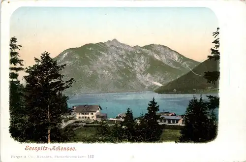 Achensee/Tirol und Umgebung - Seespitz am Achensee -325794
