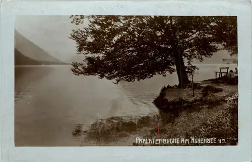 Achensee/Tirol und Umgebung - Prälatenbuche am Achensee -325860