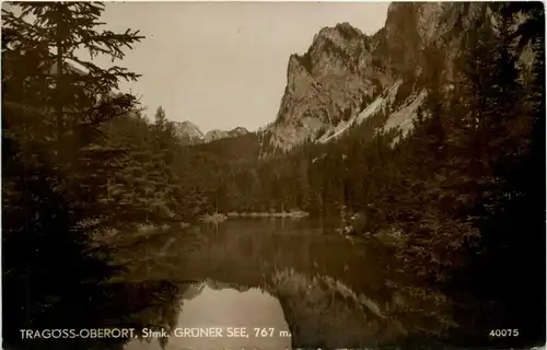 Tragöss-Oberort/Steiermark und Umgebung - Grüner See -325522