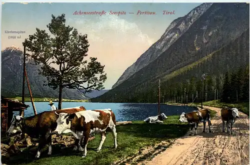 Achensee, Pertisau, Achernseestrasse Seespitz -326034