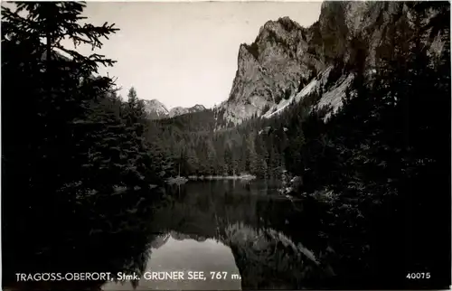 Tragöss-Oberort/Steiermark und Umgebung - Grüner See -325536