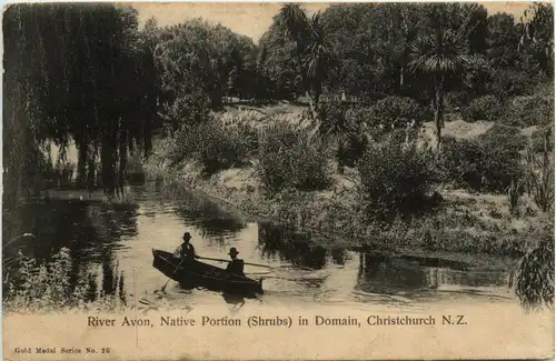 Christchurch - River Avon - Native Portion Shrubs in Domain -279458