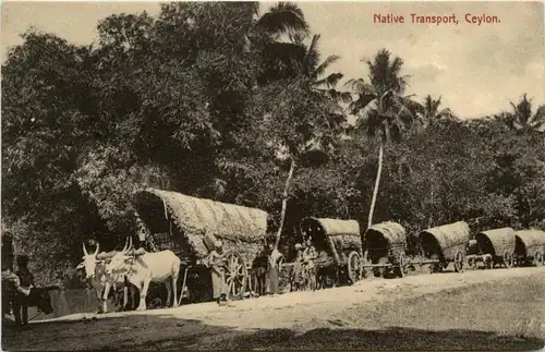 Ceylon - Native Transport -279478