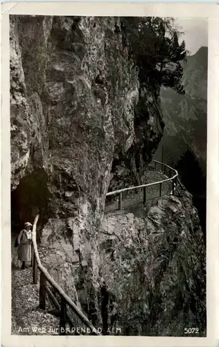 Achensee/Tirol Orte und Umgebung, Am Weg zur Bärenbad Alm -324486