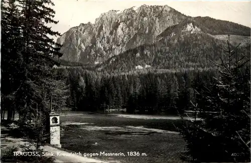 Tragöss-Oberort/ - Kreuzteich gegen Messnerin -325534