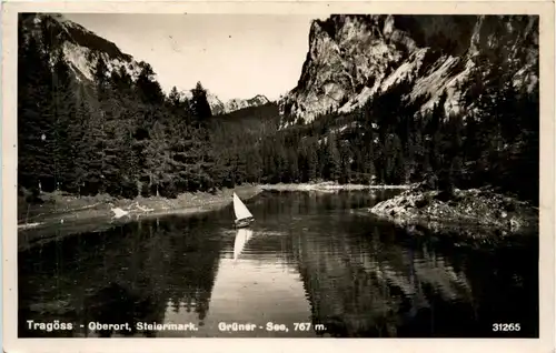 Tragöss-Oberort/Steiermark und Umgebung - Grüner See -325634