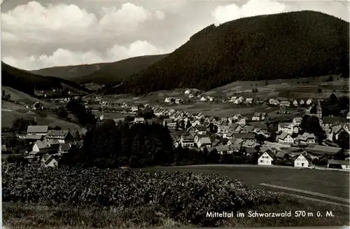 Mitteltal im Schwarzwald -279900