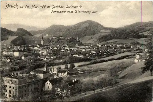 Bruck a.d. Mur/Steiermark - Panorama vom Klosterweg aus -325490